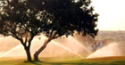 Bellavista Golf Club breaks
