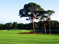T-Golf Palma (Ex Mallorca Park Puntiro)