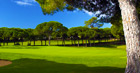 package 7 Nights BB & 5 Golf Rounds <br><b>Groups of 8</b>