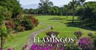 Los Flamingos Golf Course