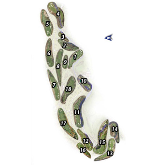 Course Map