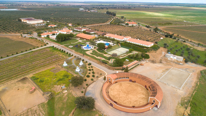 Vila Galé Alentejo Vineyards