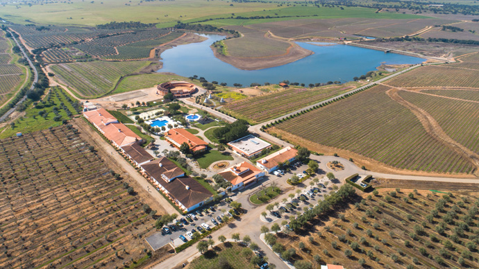 Vila Galé Alentejo Vineyards