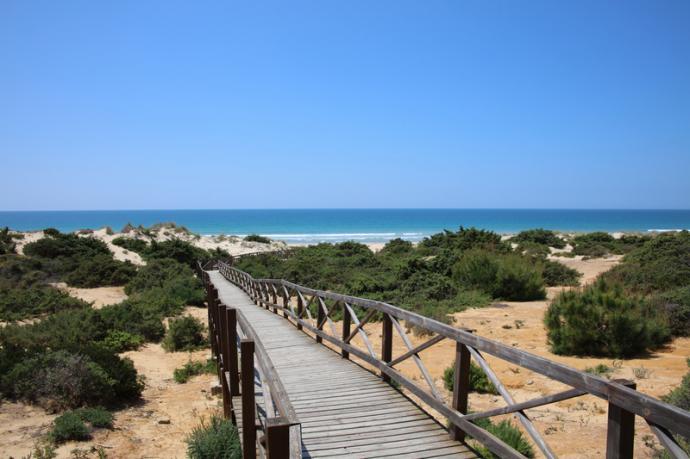 Iberostar Andalucia Playa