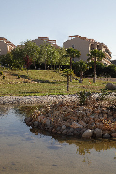 Águilas de los Collados