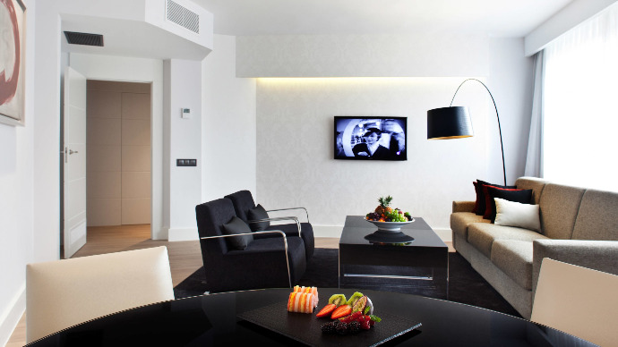 Hotel Princesa Plaza Madrid