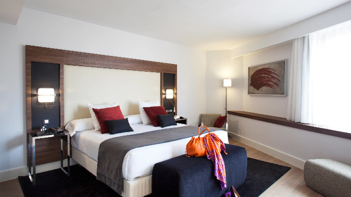 Hotel Princesa Plaza Madrid