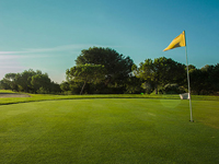 Alenda Golf - Green Fees