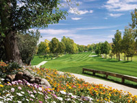 Atalaya Golf Old Course - Green Fees