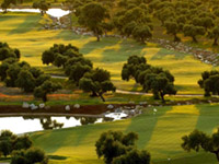 Arcos Golf Club & Country Estate - Green Fees