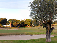 Club de Golf Playa Serena - Green Fees