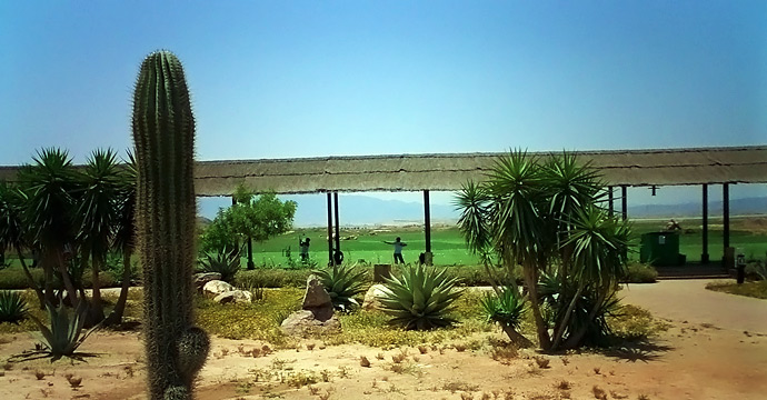 Desert Springs Resort & GC