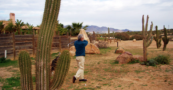 Desert Springs Resort & GC