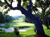 Valderrama Golf Club - Green Fees