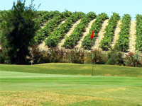 Sherry Golf Jerez - Green Fees