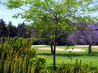 Mijas Golf - Los Lagos - Green Fees