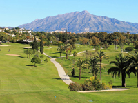 El Paraiso Golf - Green Fees