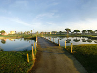 Sancti Petri Hills Golf - Green Fees