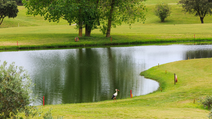 Golfe do Montado