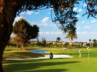 Fuerteventura Golf Course - Green Fees