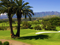 Real Club de Golf Las Palmas - Green Fees