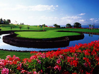 Amarilla Golf & Country Club - Green Fees