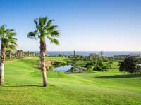 Golf del Sur - Green Fees