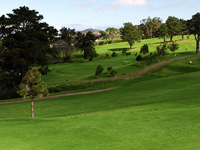 Real Club de Golf Tenerife - Green Fees