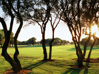 Son Antem Golf Course East - Green Fees