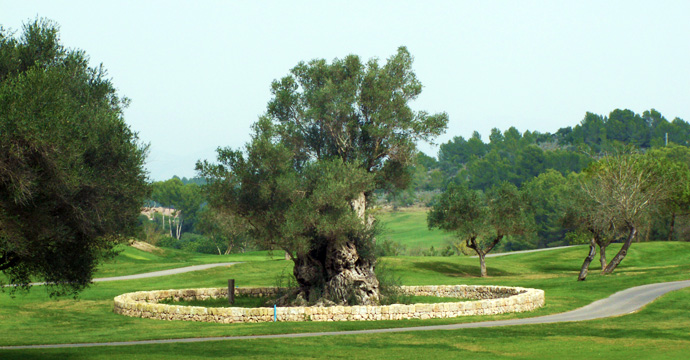 Arabella Son Muntaner Golf Course