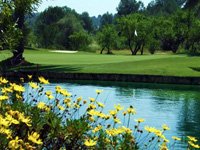 Club del Campo del Mediterráneo - Green Fees