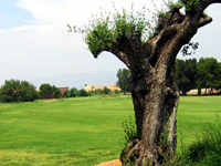 Escorpion Golf Course - Green Fees
