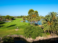 Oliva Nova Golf Course - Green Fees