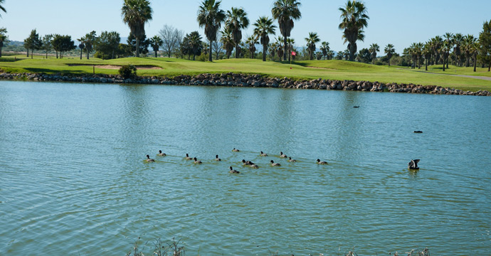 Salgados Golf Course