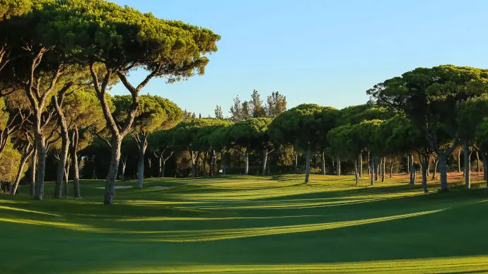 Portugal golf courses - Vilamoura Millennium golf course - Photo 10