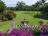 Flamingos Golf at Villa Padierna - Green Fees