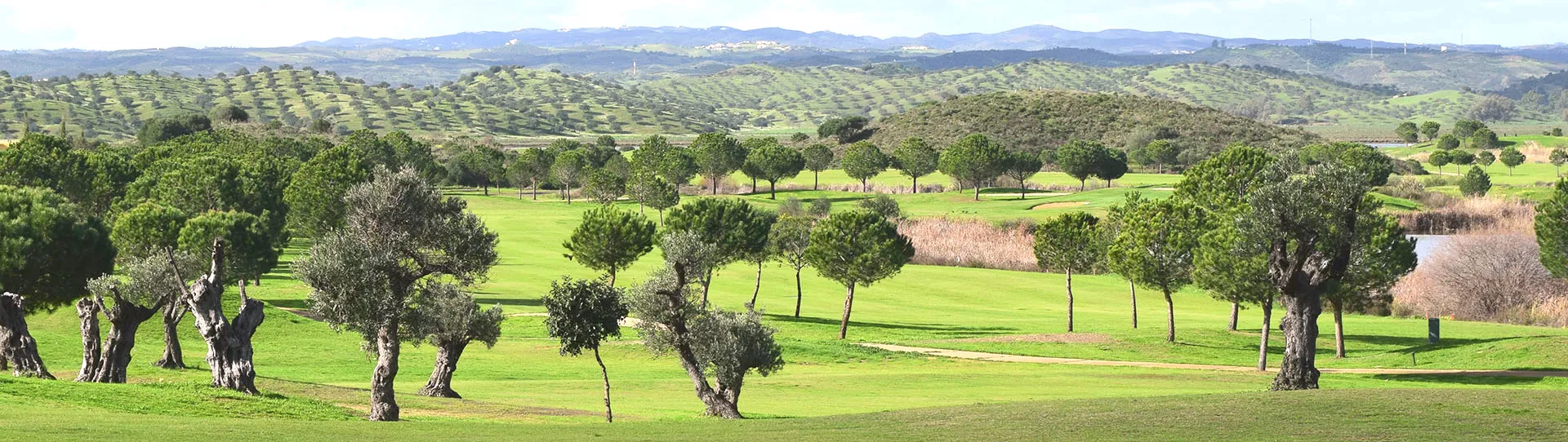 Portugal golf courses - Isla Canela Links (Spain) - Photo 1