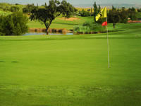 Hato Verde Club de Golf - Green Fees