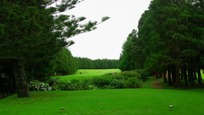 Golfe da Ilha Terceira