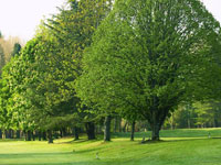 Vidago Palace Golf - Green Fees