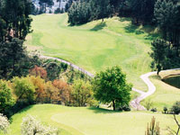 Amarante - Green Fees